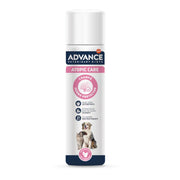 CHAMPU ATOPIC PERROS/GATOS 300 ML ADVANCE 920569